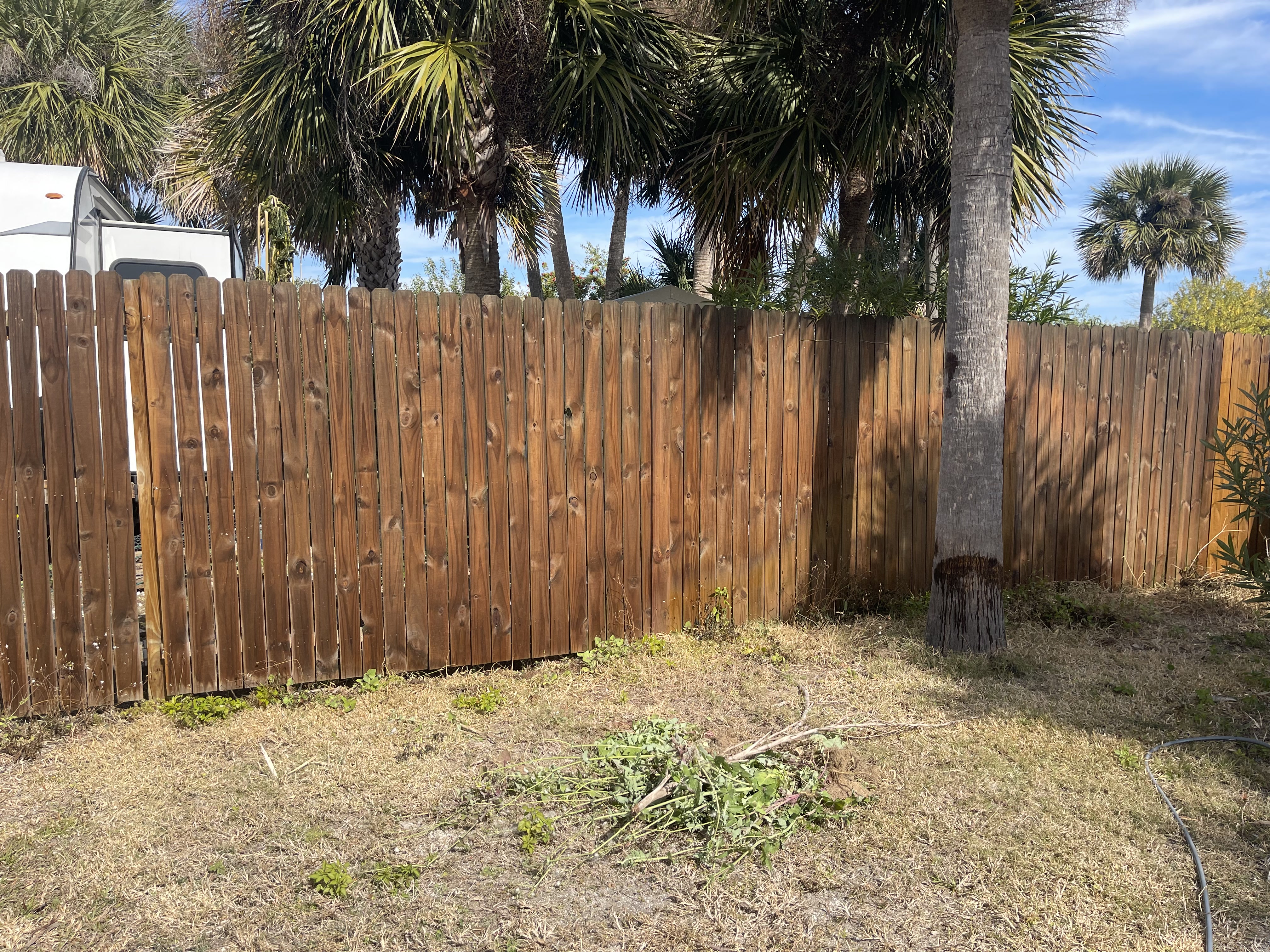 Fence before cleaning